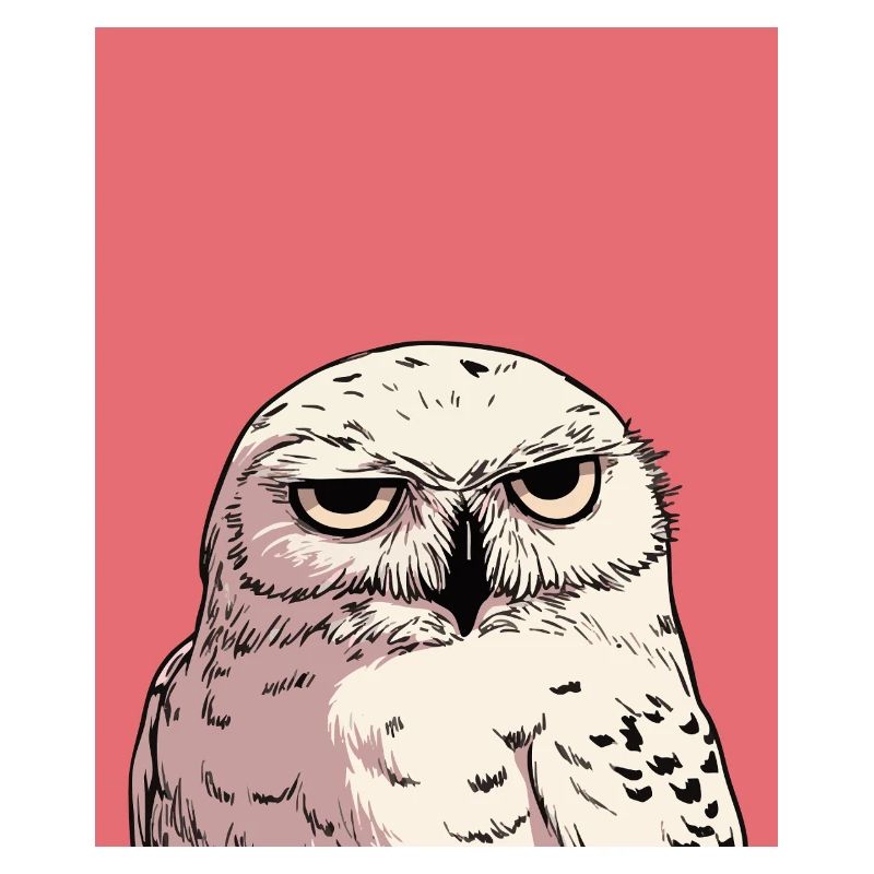 Grumpy Owl Illustration – Judgmental Animal Art De