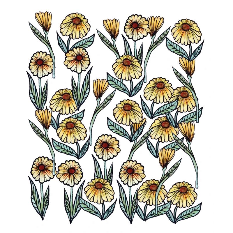 Sunlit Daisy Floral Pattern