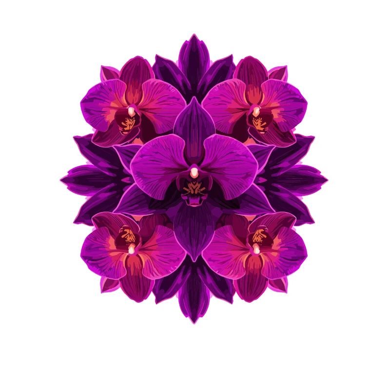 Mandala Orchidée Lumière Pourpre