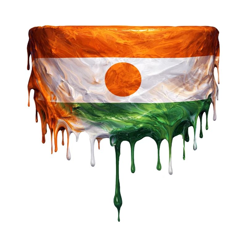 Art de la chute du drapeau du Niger