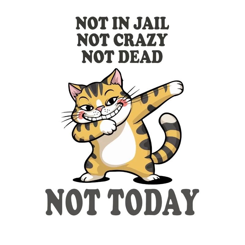 Nicht heute lustige Katze Sarkasmus Design