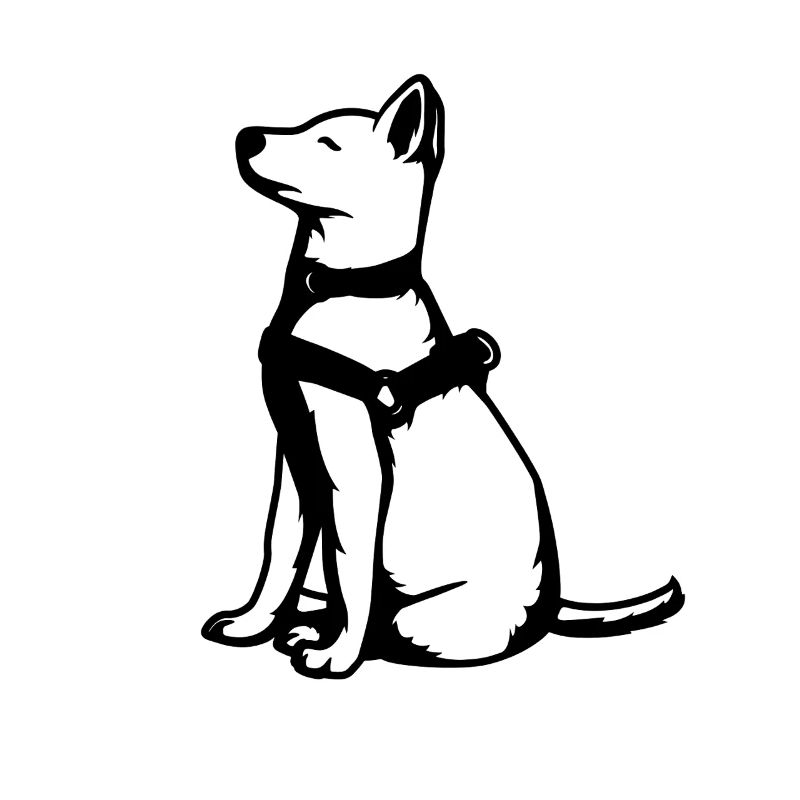 Sheepdog