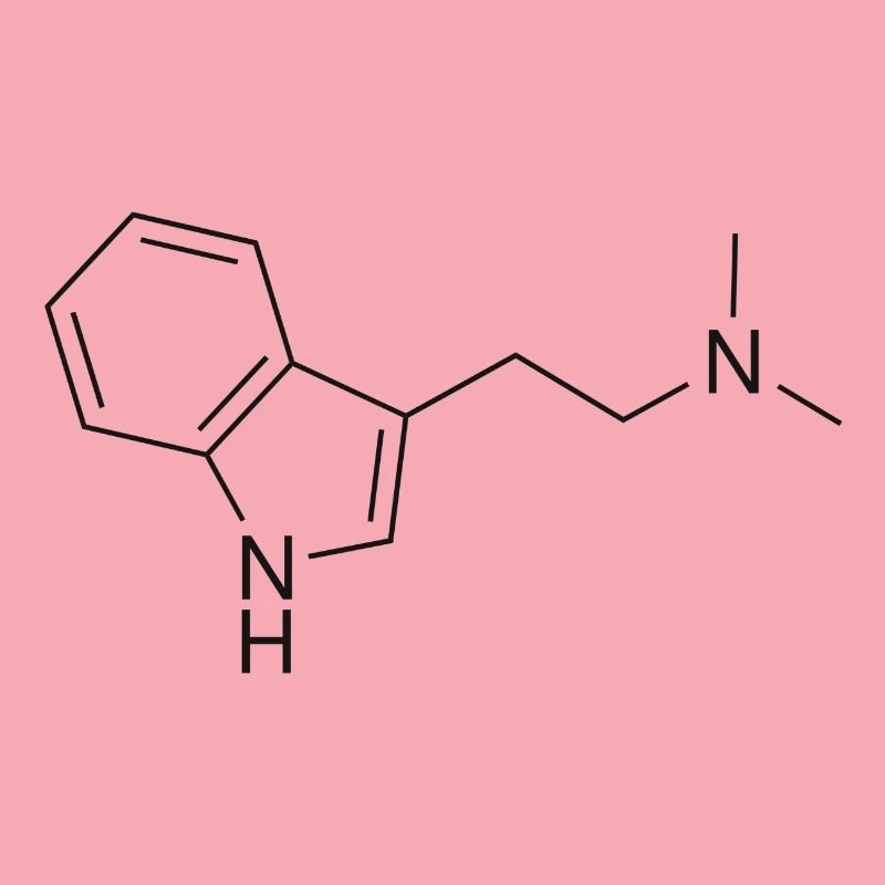 DMT molecule - black