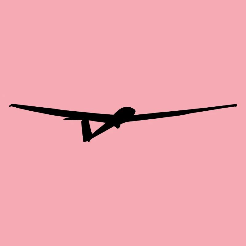 Glider Glider Glider Pilot Pilot