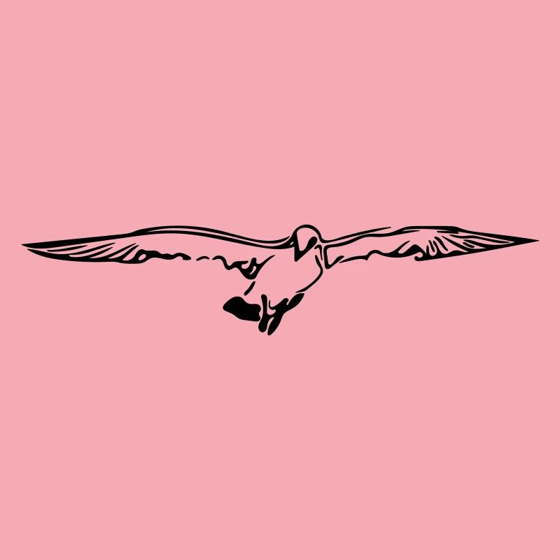 mouette