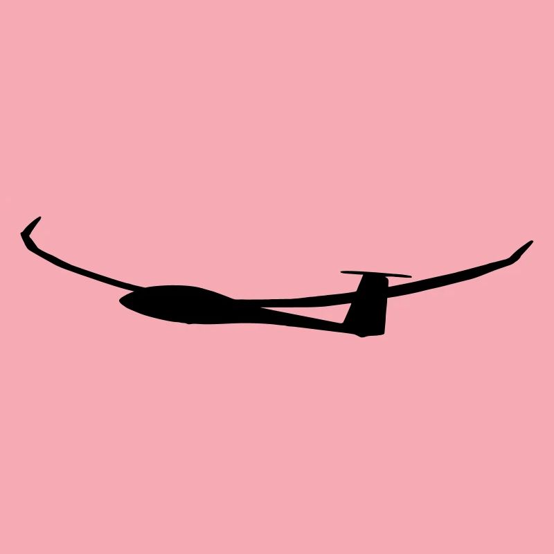 Glider Glider Glider Pilot Pilot