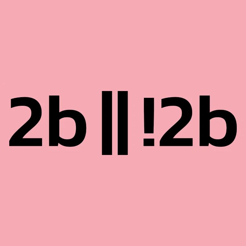 To be or not to be ? Funny Programmer Programer