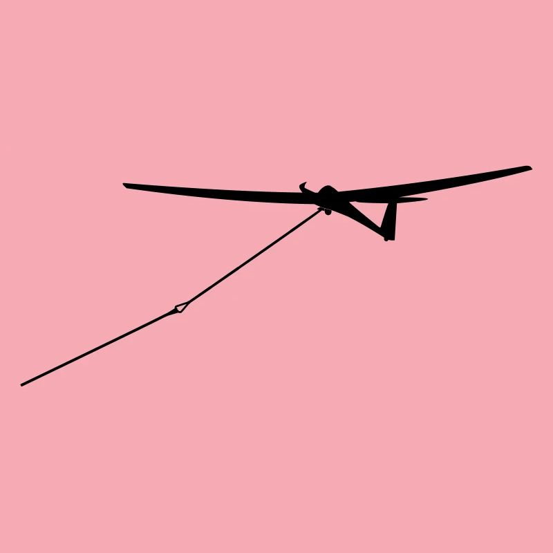 Glider Glider Glider Pilot Pilot