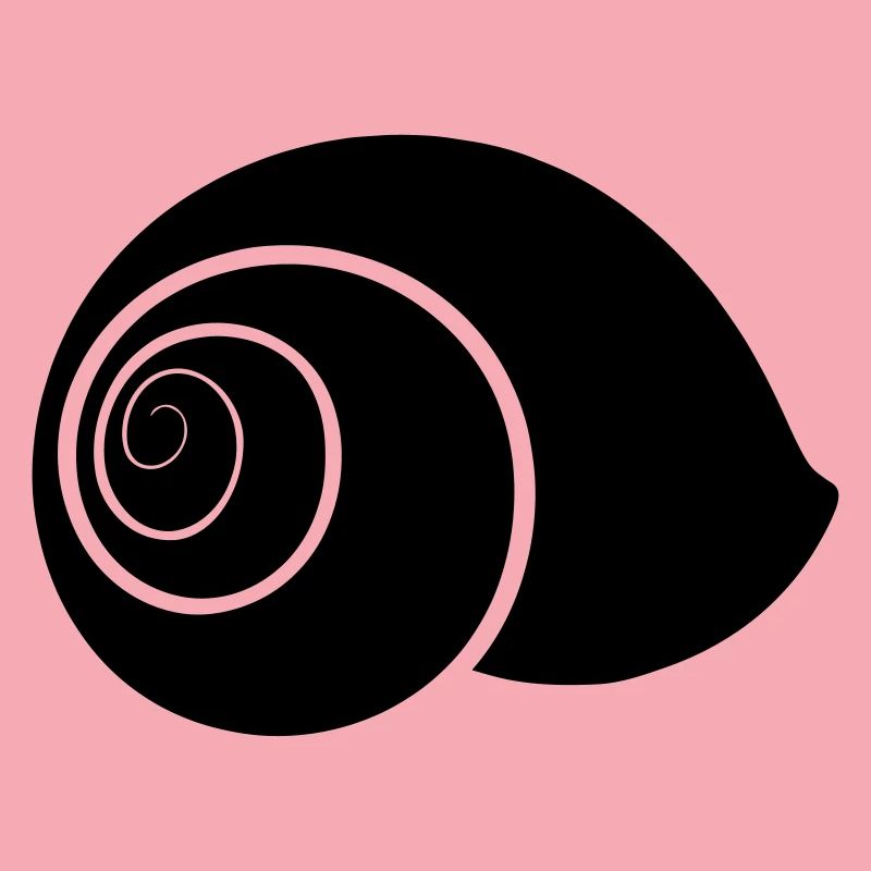 SNAILCASE