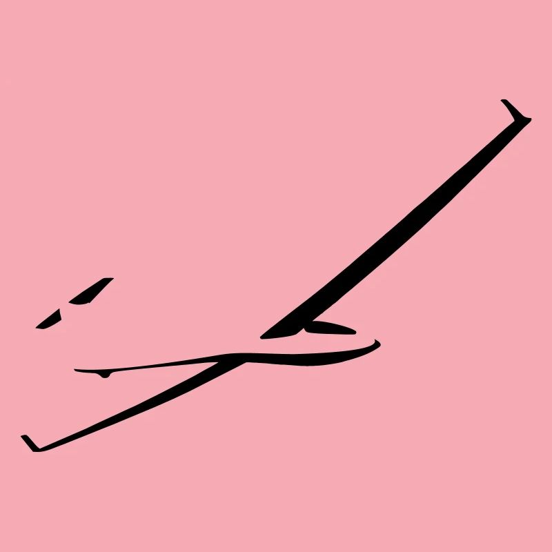 Glider glider flying glider pilot pilot