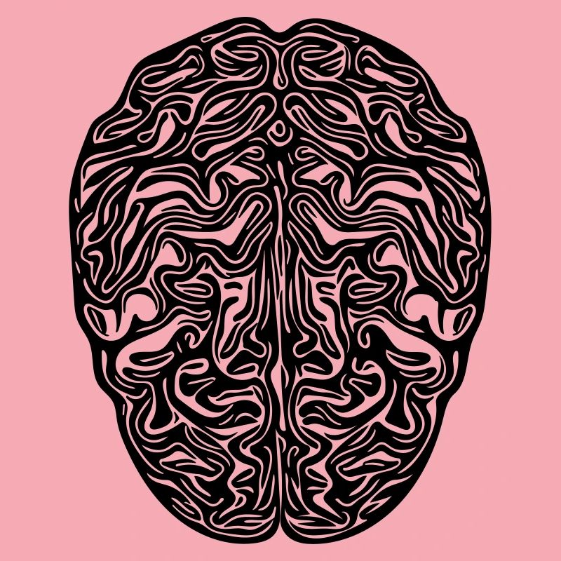 Gehirn - Anatomischer Vector