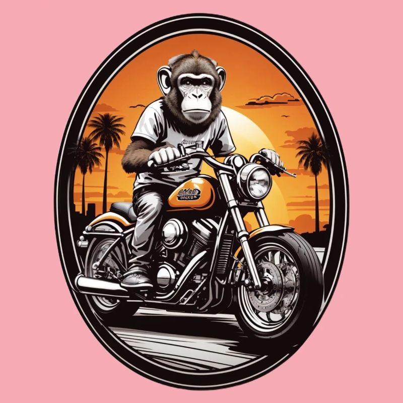 Monkey on motorcycle