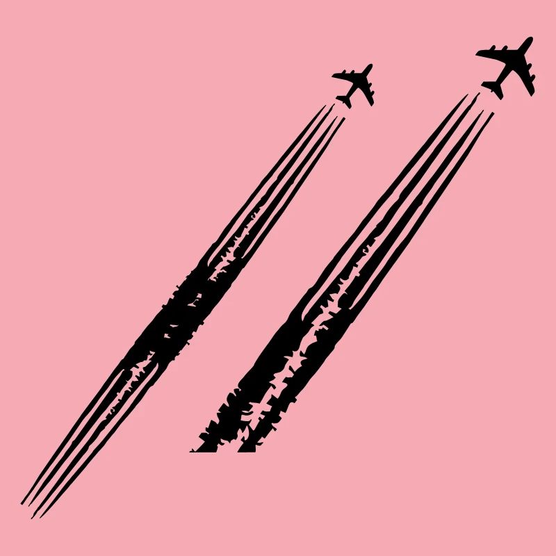 Plane Pilot Pilot's Claim Spotter