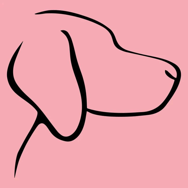 Chien
