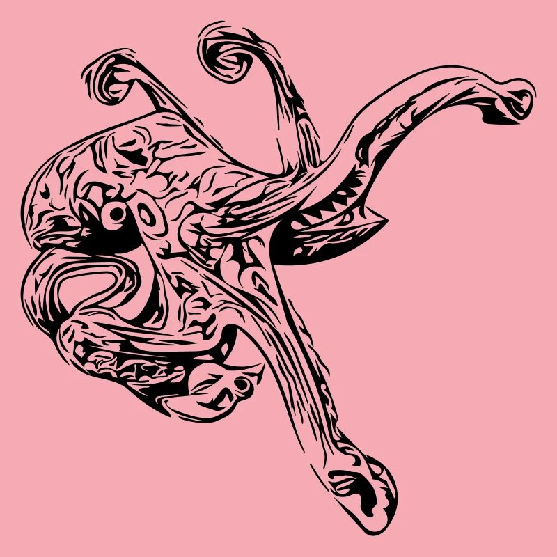 Octopus Octopus octopus squid