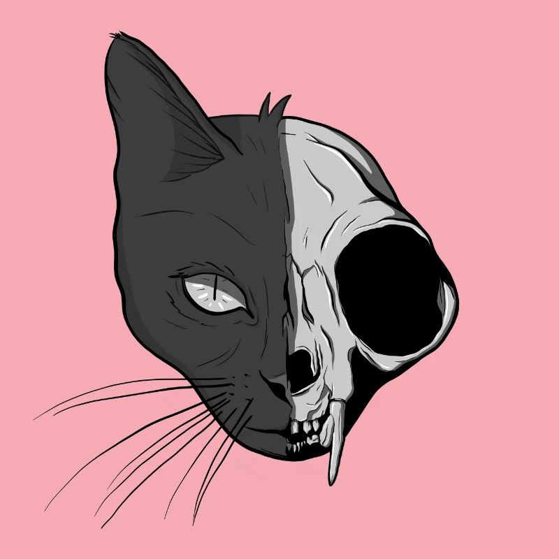 Le chat de Schrödinger