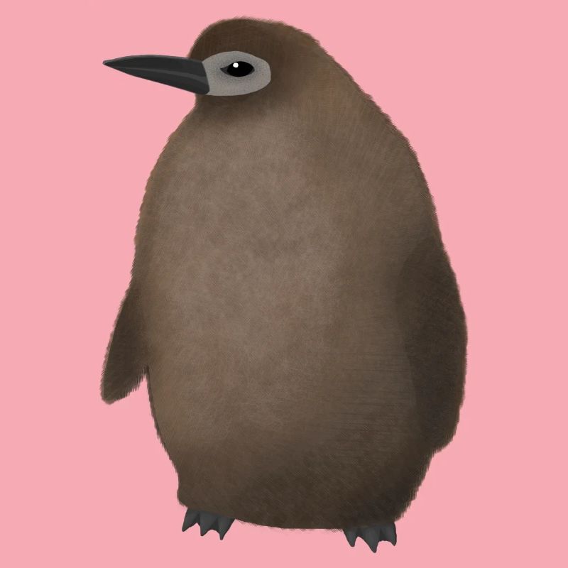 Pesto penguin