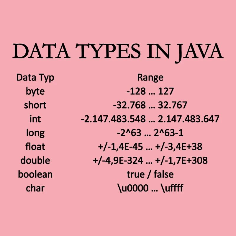TYPES DE DONNEES EN JAVA (affiche)