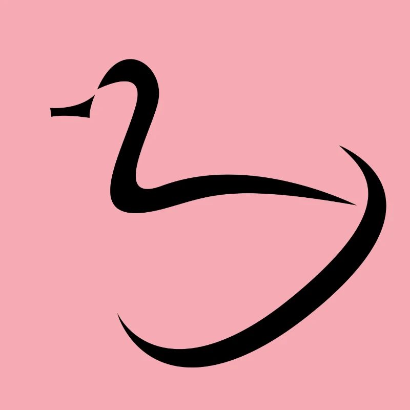 Conception de canards