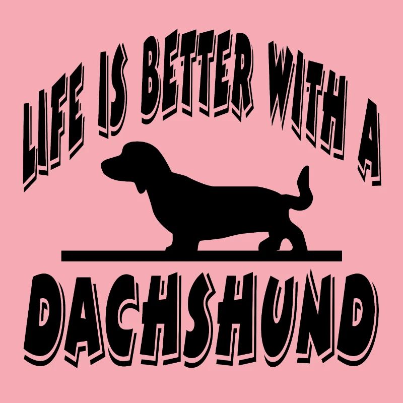 Dachshund