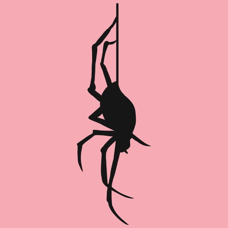 Halloween Gift Spider Spider Web