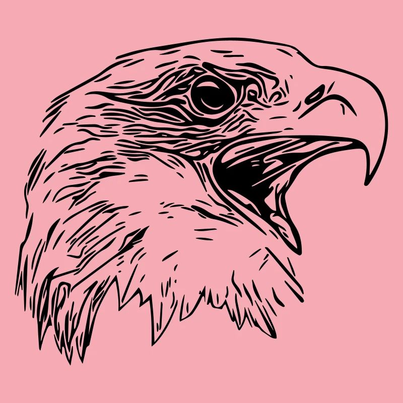 Tête d’aigle - Oiseau de prédant Royal Vector