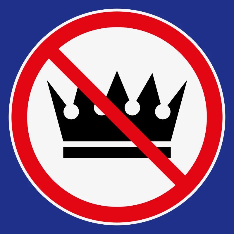 Pas de rois ! (Projet de protestation / 3C)