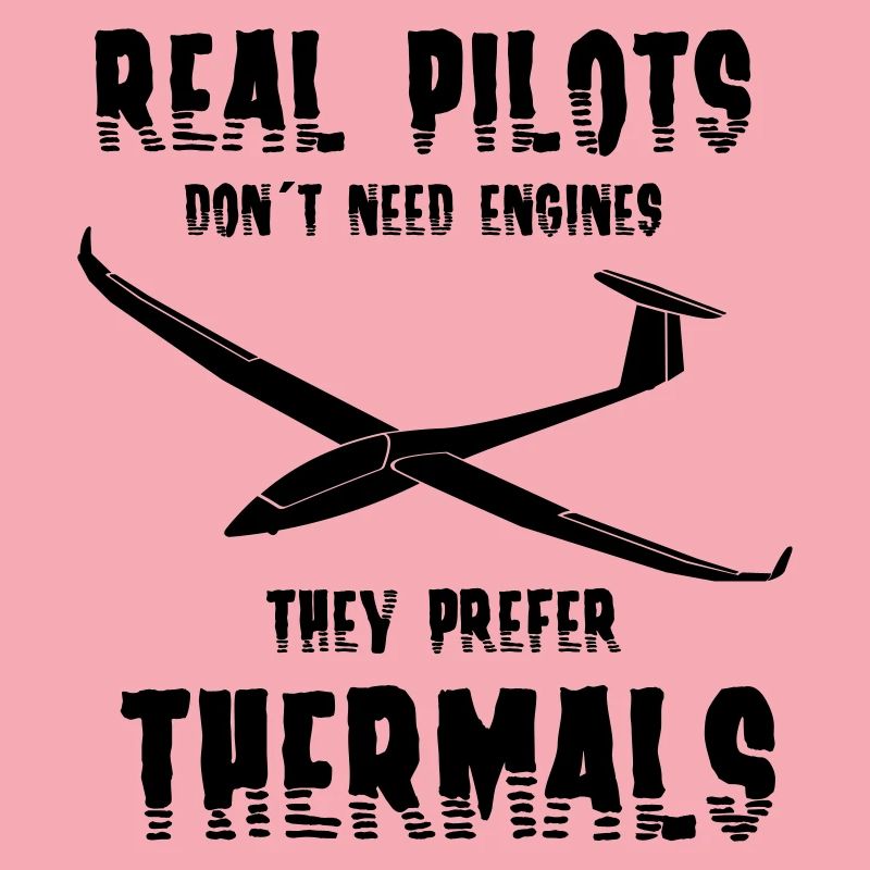 Glider glider flying glider pilot