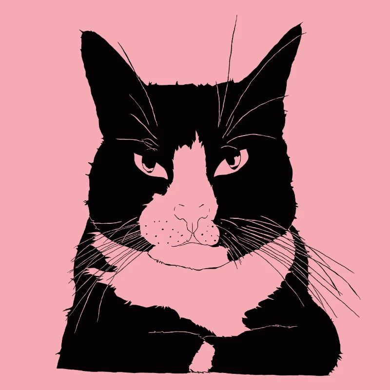 Katze bossy