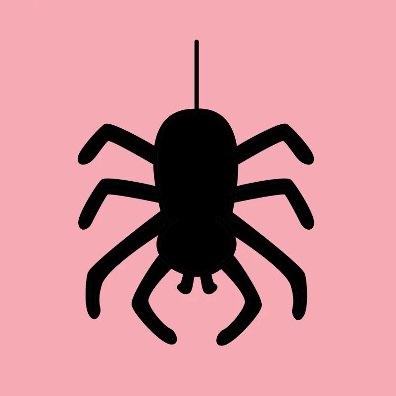 Spider Spider Halloween