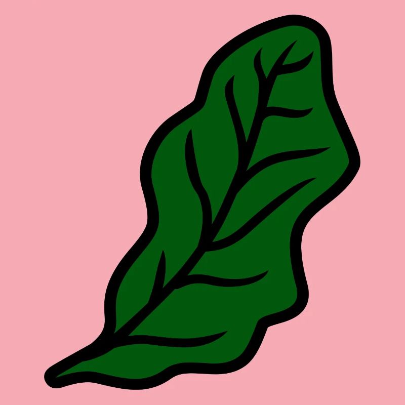 Lettuce