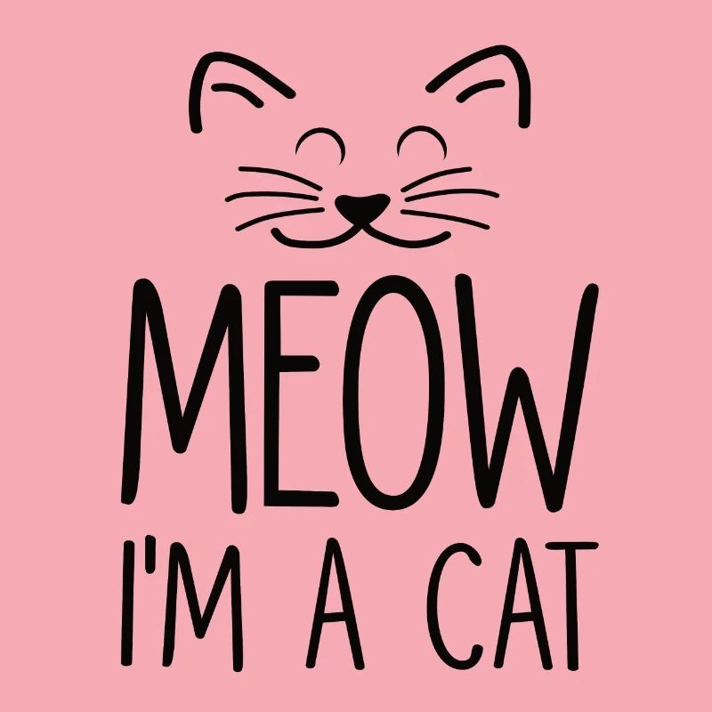 Chat chat visage chat dame chat cadeau