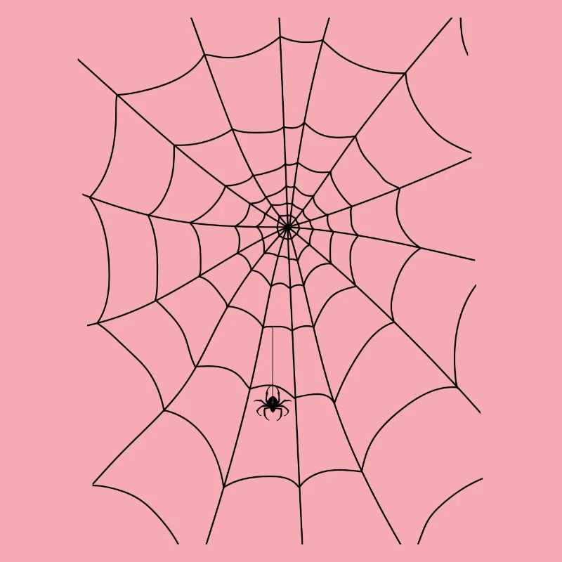 Spider web, spider, spider in the web