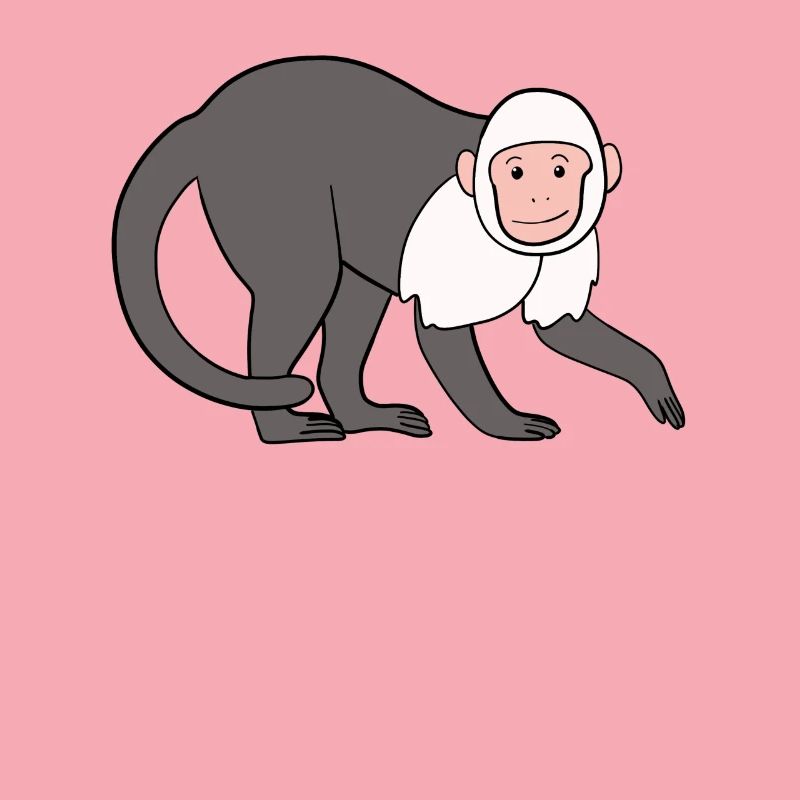 Capuchin Monkey Monkey