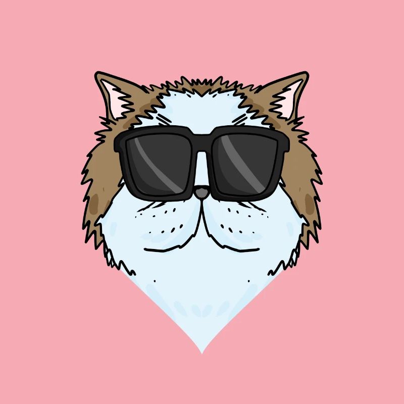 Cool Chat Persan Chat Race Chat