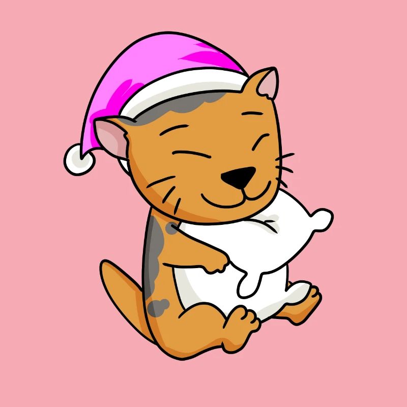 Chat Cat Race Scottish Folding Ear Cat