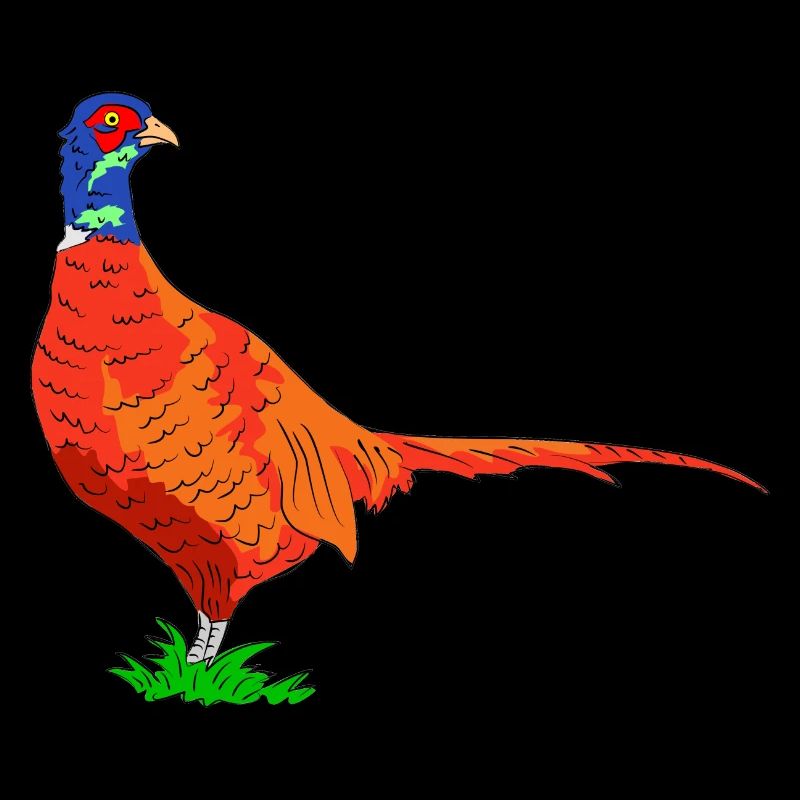 pheasant