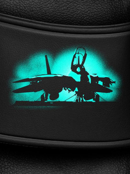 Jet F-14 Tomcat
