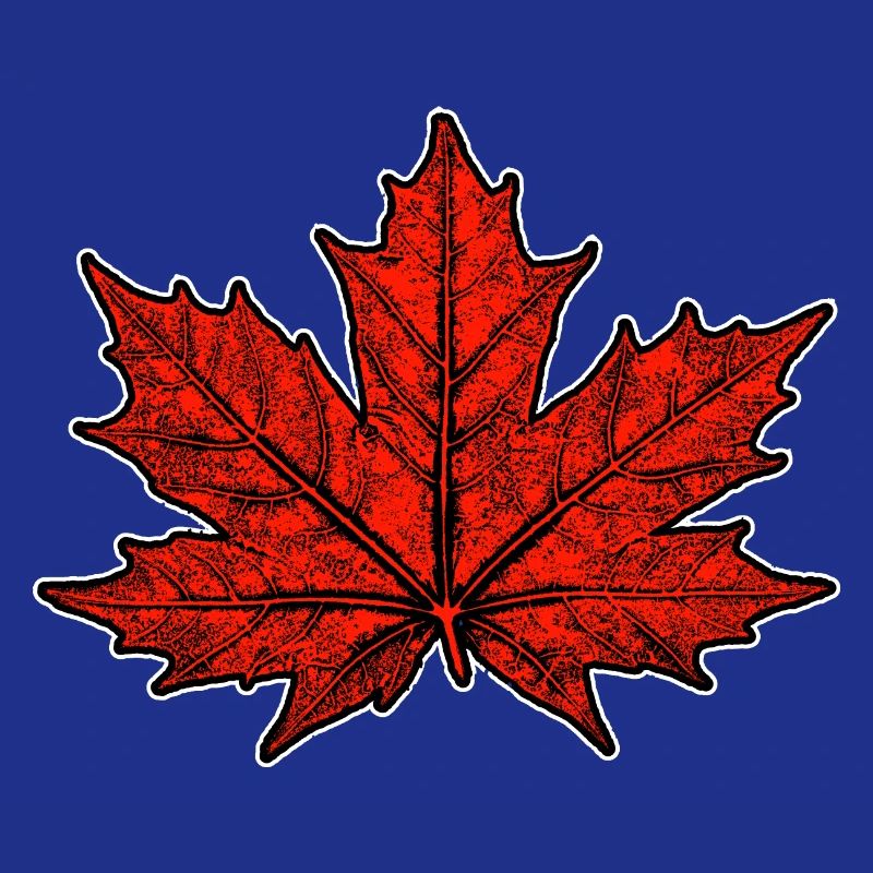 Maple / Leaf
