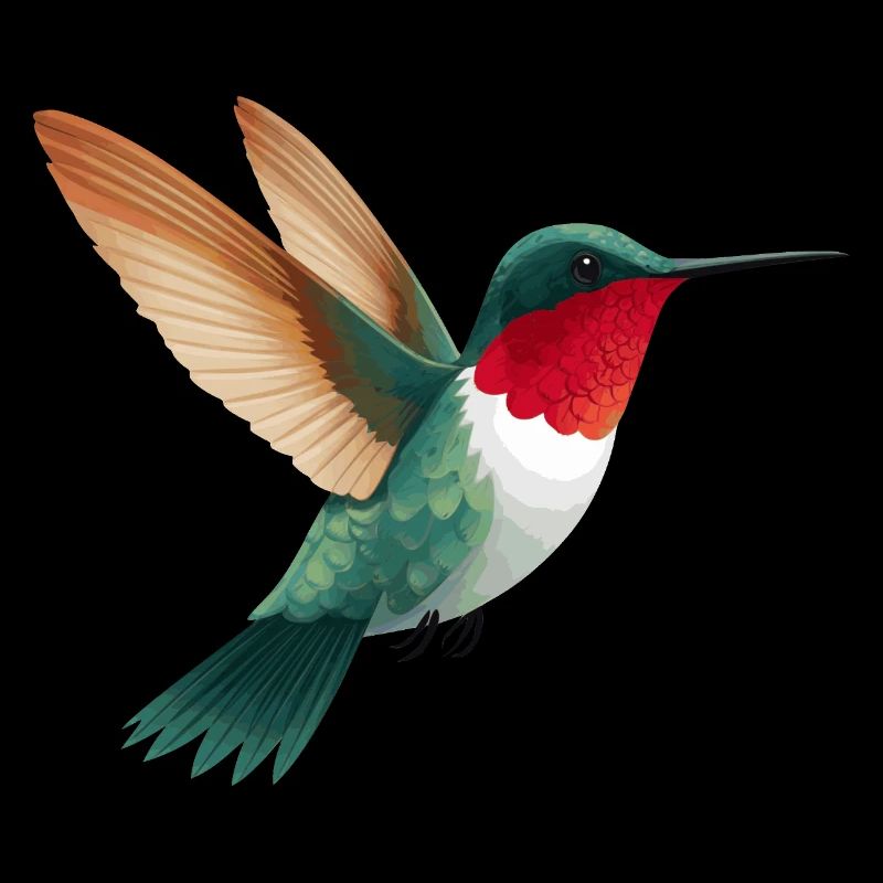 Colibri