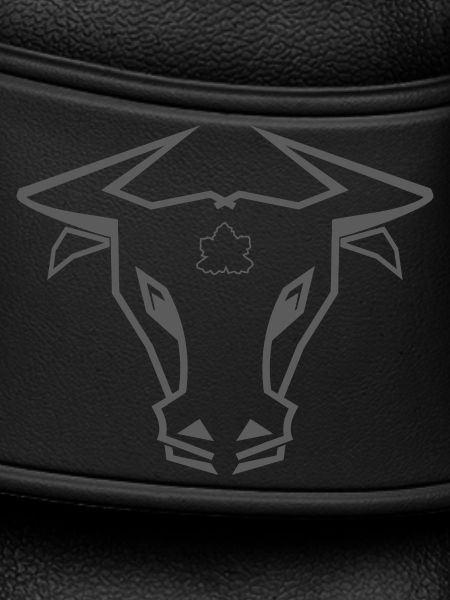 Stier_002a
