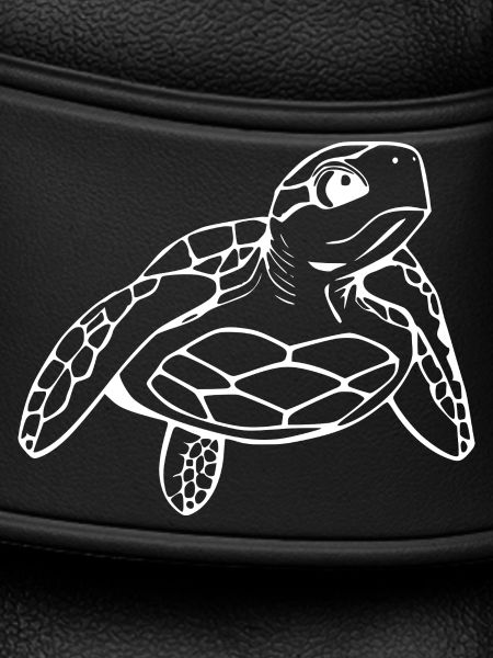 Turtle Turtles