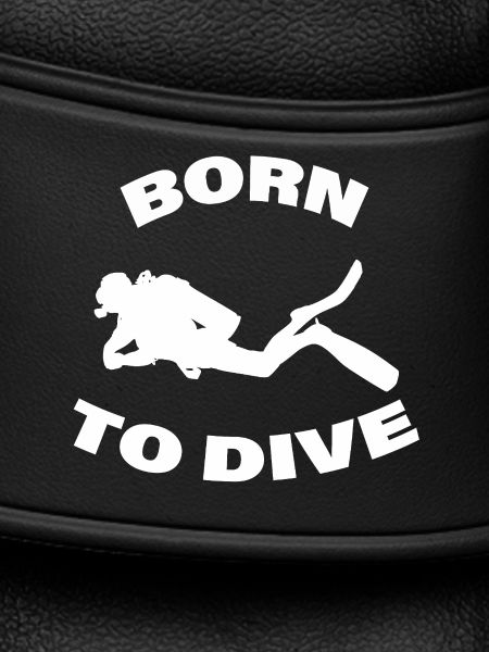 Born to Dive