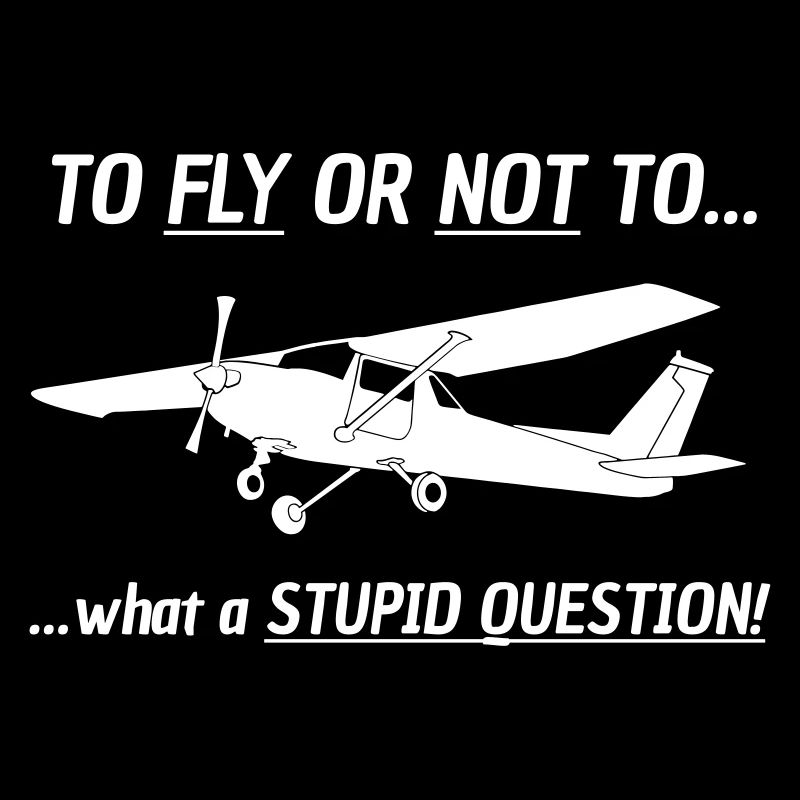 Fly or fly not