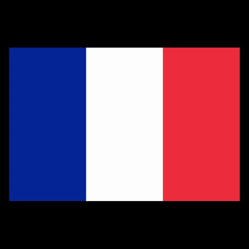 Drapeau français / French flag