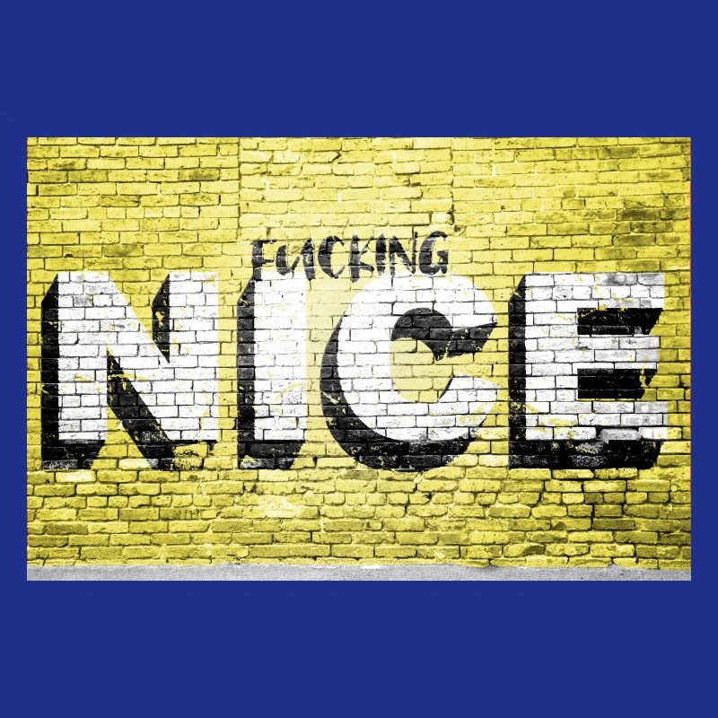 Fucking nice saying lettering Graffiti on Brick
