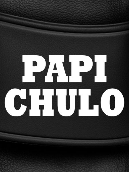 Papi chulo