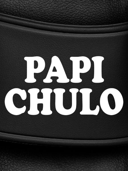 Papi chulo