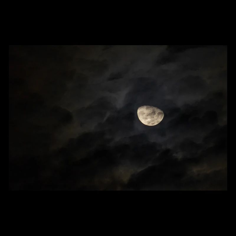Mond