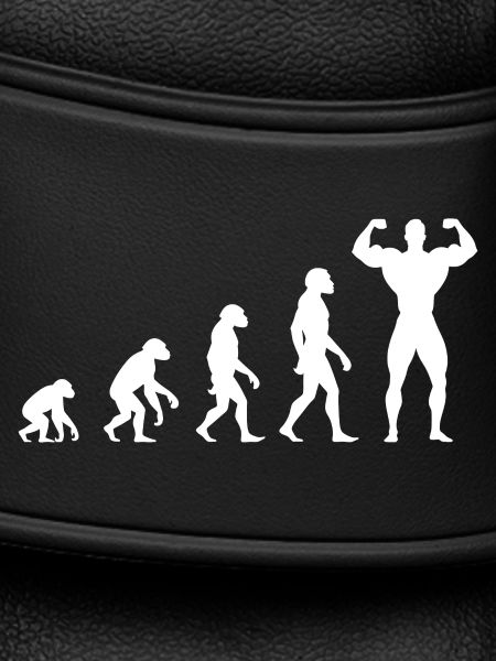 Evolution vom Urmenschen zum Muskelprotz